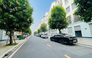 Khu nhà thấp tầng tại Vinhomes Grand Park.